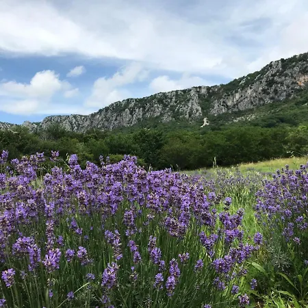 Loft-beach-apartments Ratko *