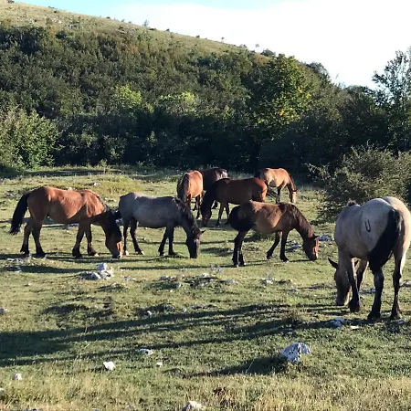 Loft-beach-apartments Ratko
