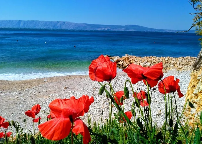 Loft-beach-apartments Ratko *