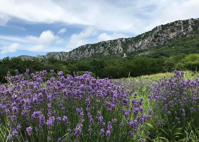 Loft-beach-apartments Ratko *